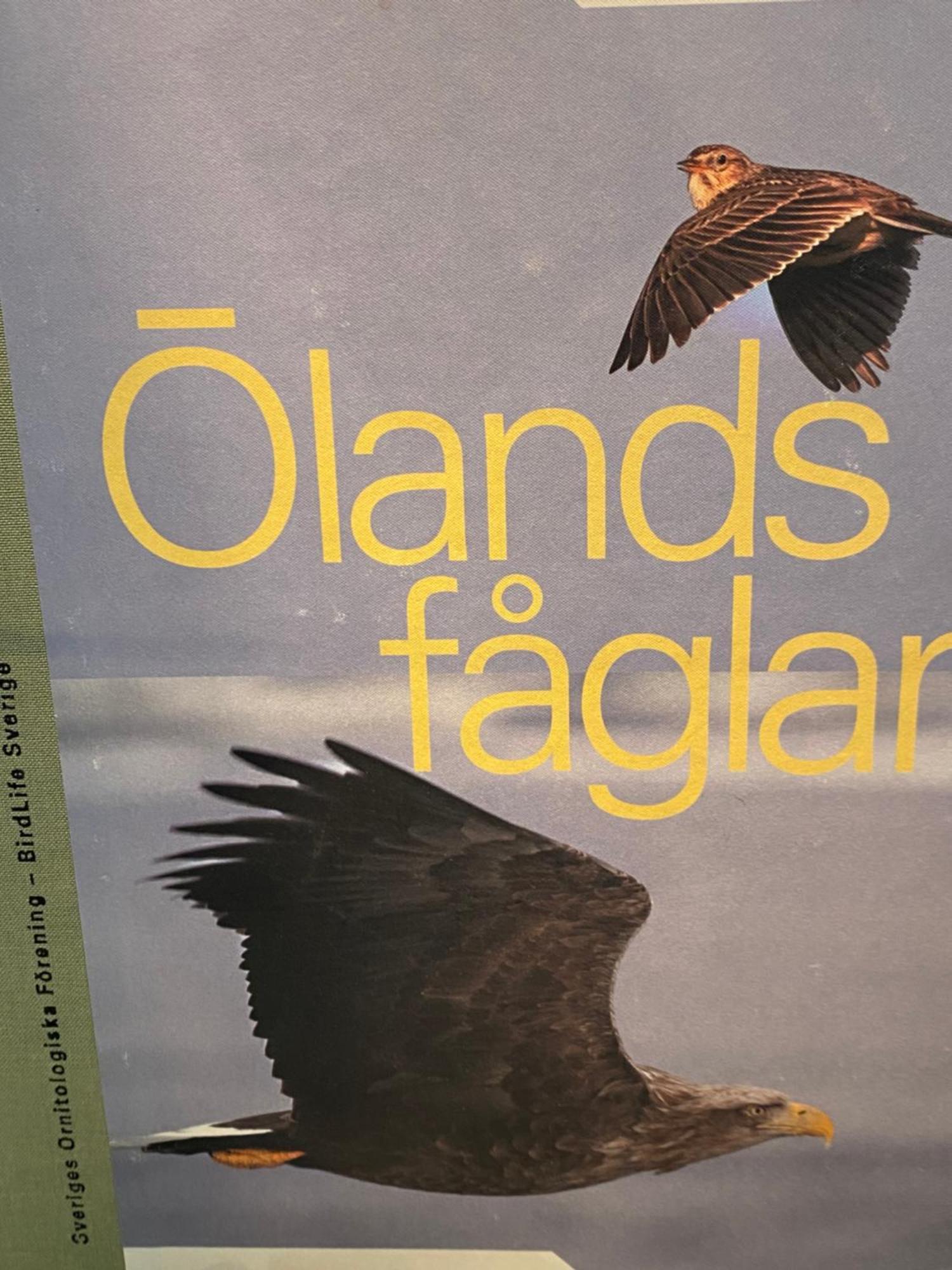 Idyliska Boende Mitt Pa Oeland Lägenhet Färjestaden Exteriör bild